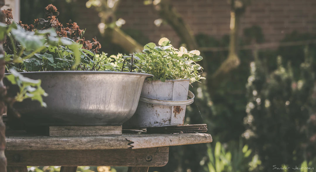 O impacto ambiental dos produtos de metal na jardinagem