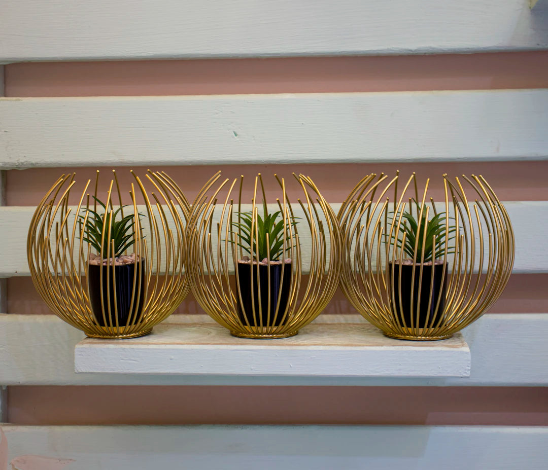 Vasos e Canteiros Metálicos para Jardins Modernos