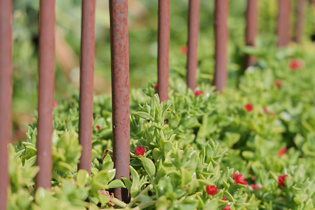 Limitadores Metálicos para Jardim Estilos e Funcionalidade