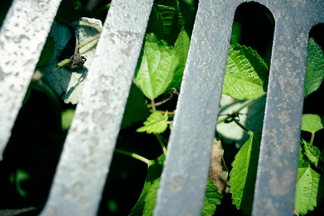 Escolha Produtos de Metal Sustentáveis para Seu Jardim