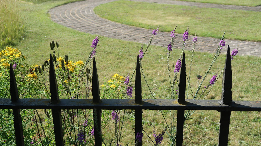 Limitadores Metálicos Funcionais para Organizar seu Jardim