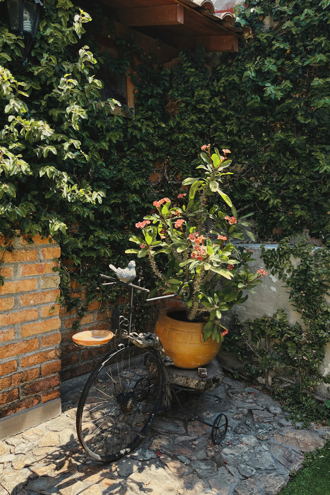 Estilos de Jardins que Combinam com Produtos de Metal
