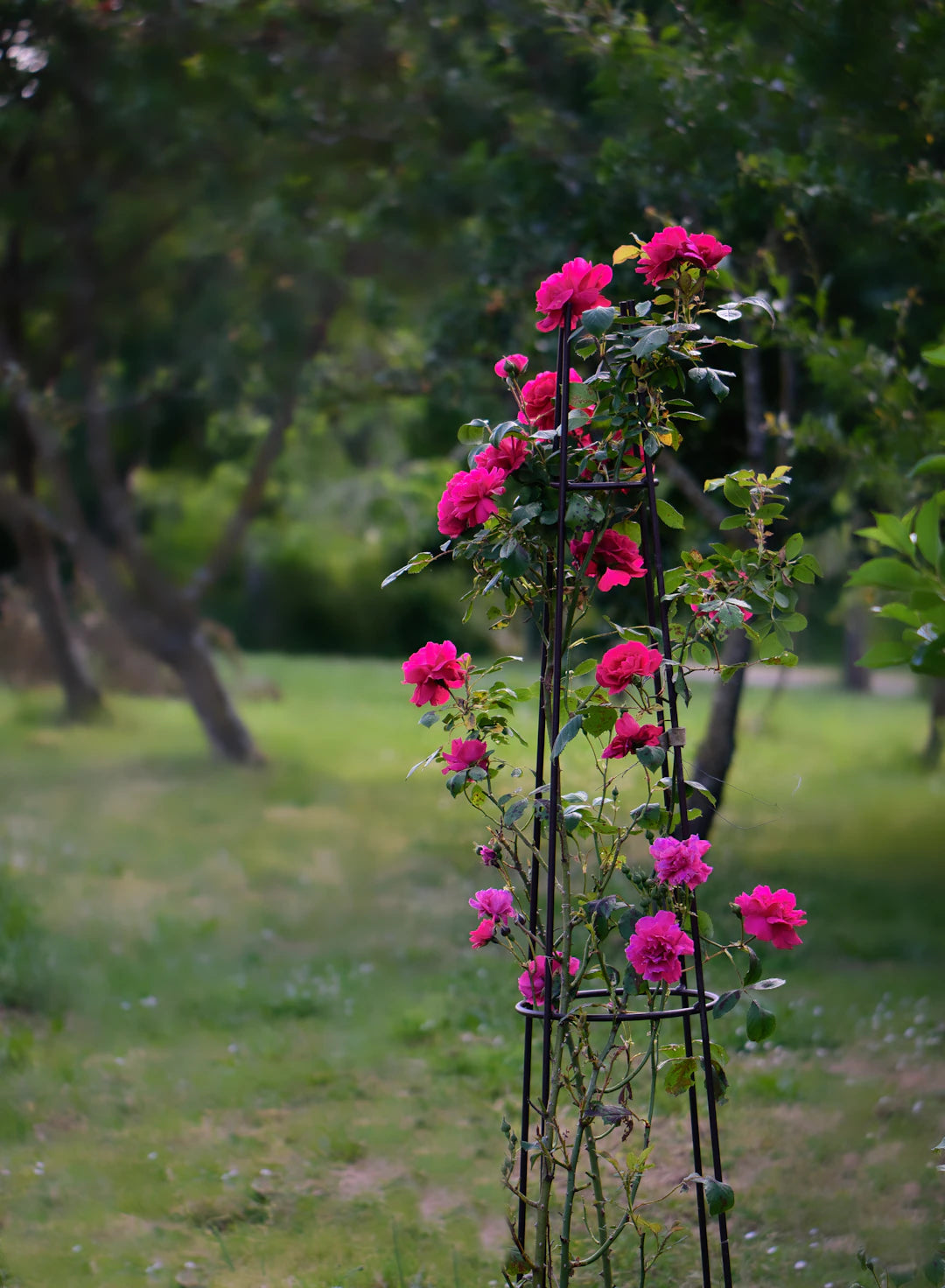 Suportes Metálicos para Jardim Estilo e Funcionalidade