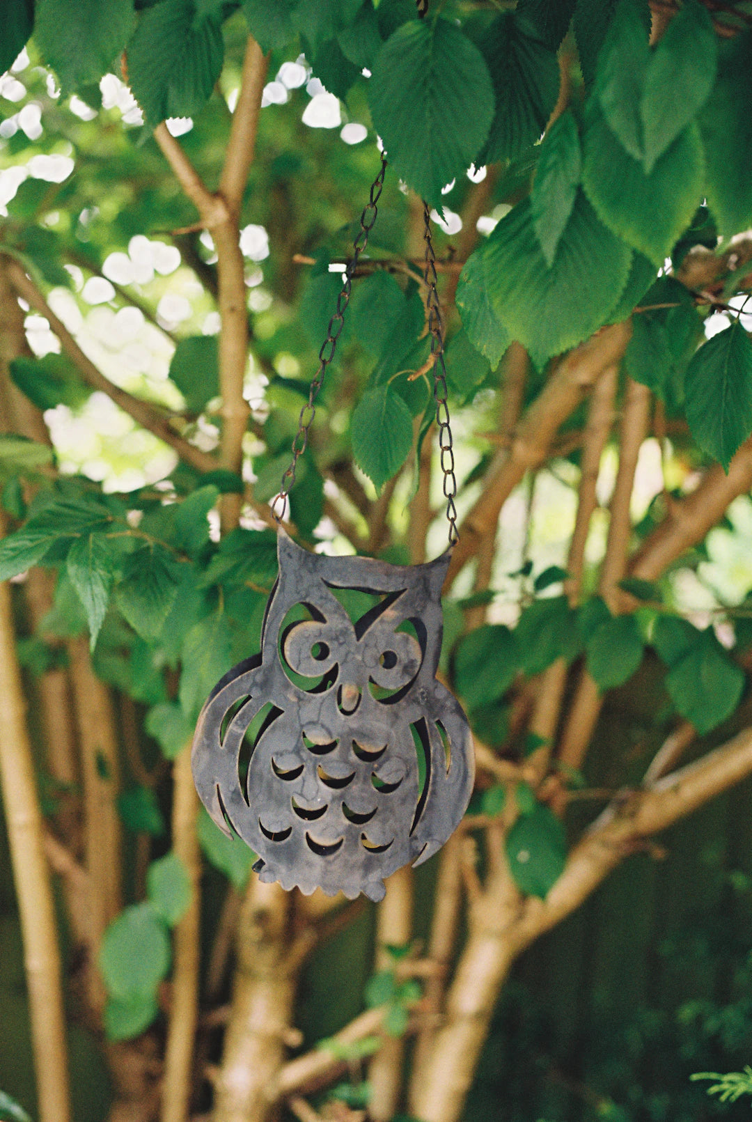 Transforme seu Jardim com Canteiro Metálico Elevado