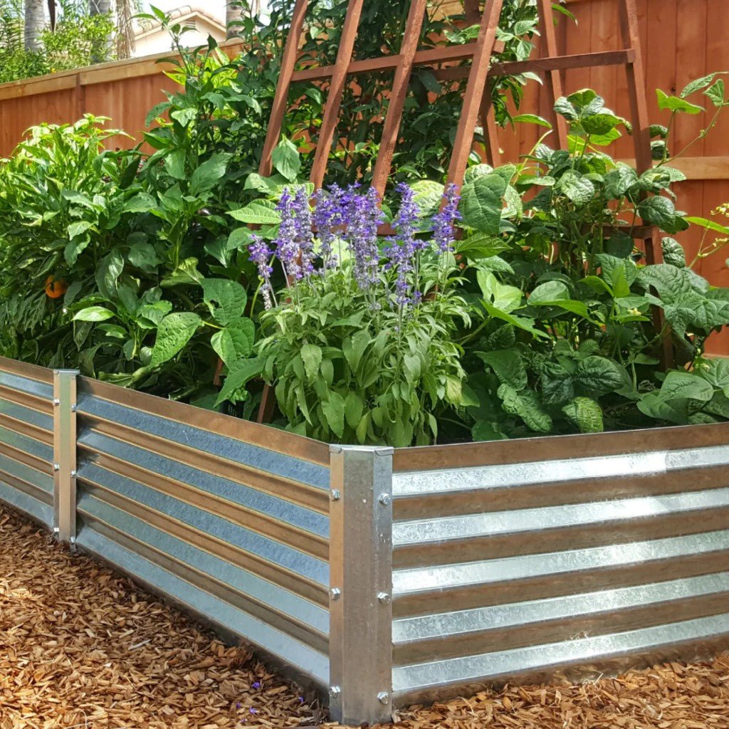 Renovando o Jardim: Deixando o Antigo para Abraçar o Novo - Montar & Plantar