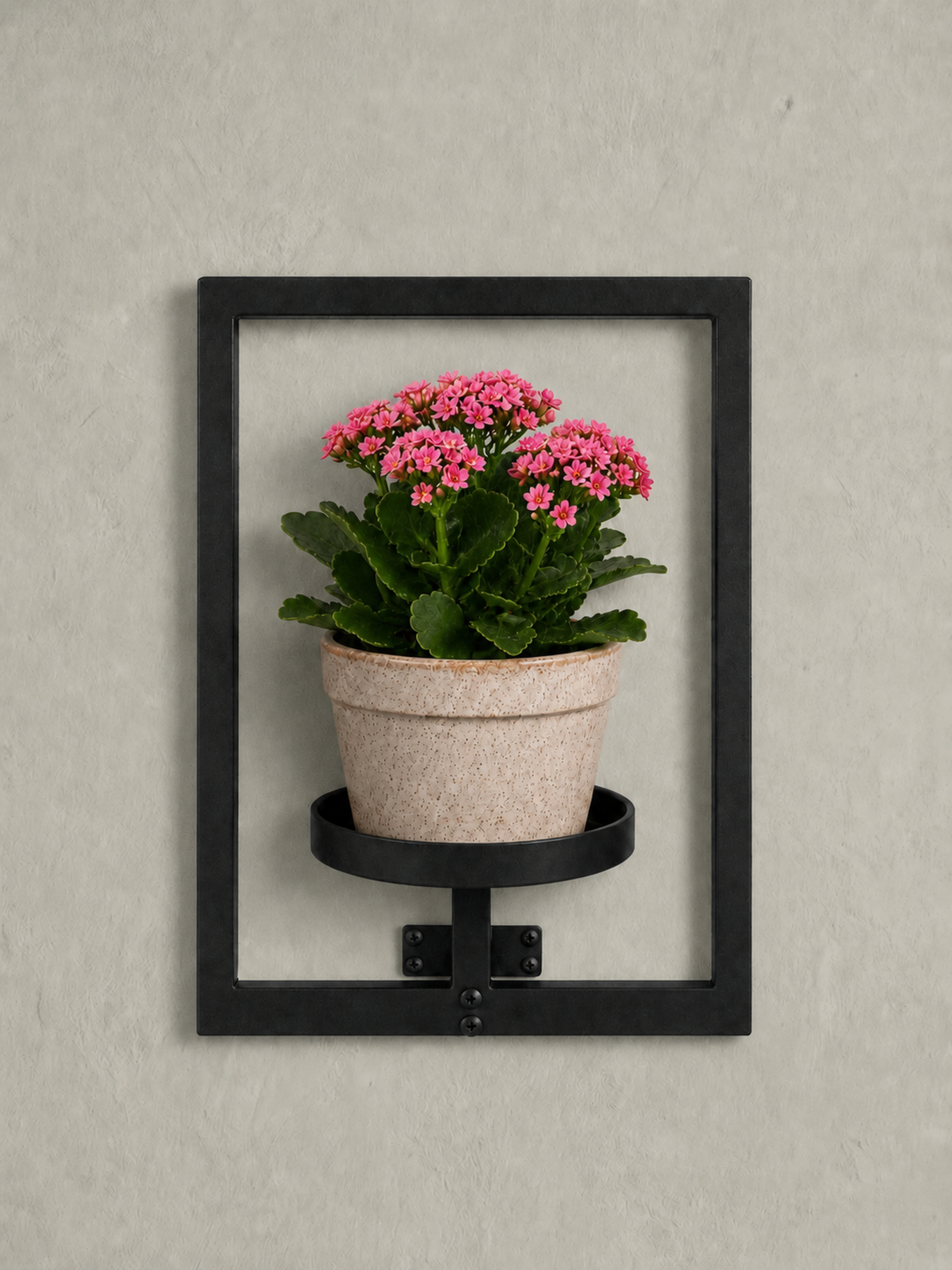 Suporte de Vasos Estilo Moldura para Parede 40x30cm Preto