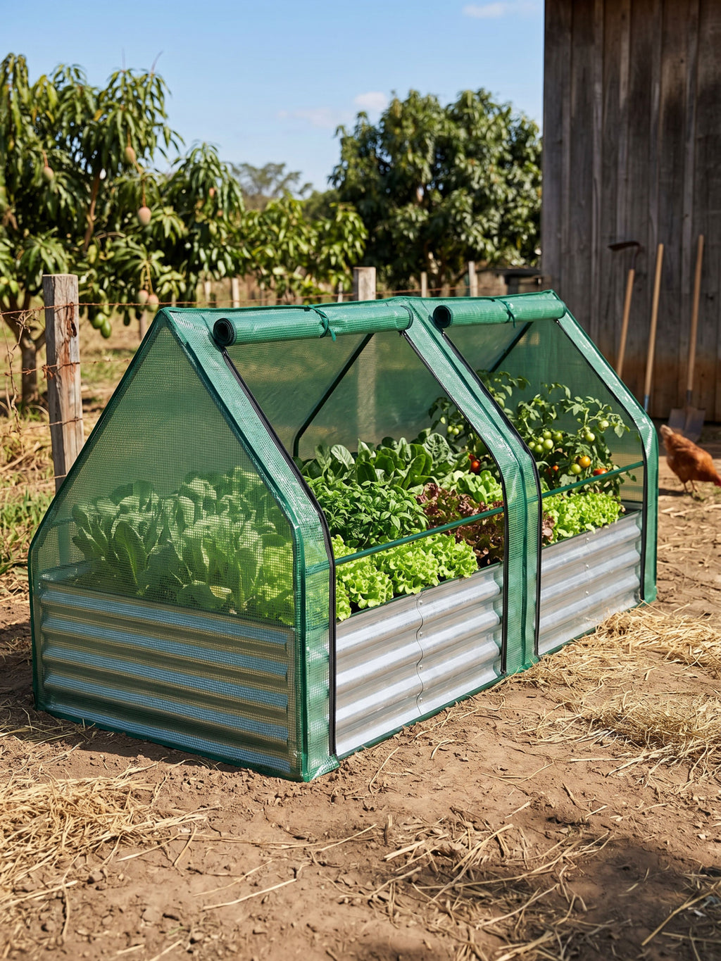 Canteiro Metálico para Jardim com Estufa 90cm x 180cm