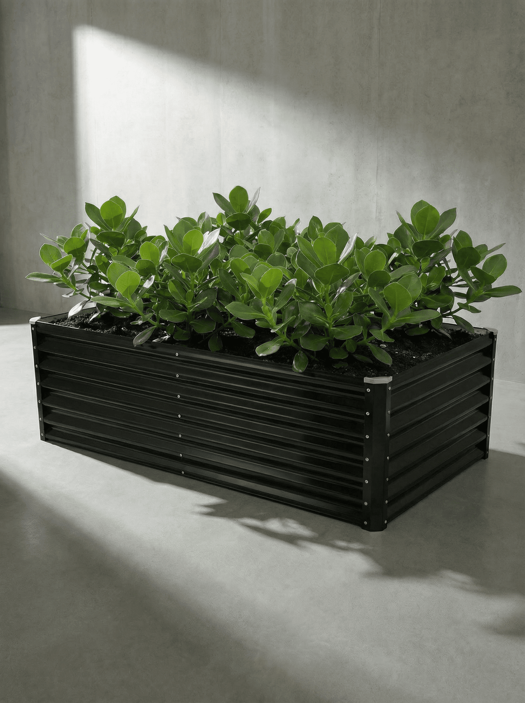 Canteiro Metálico Elevado Jardim Retangular Alto 180x90cm - Montar & Plantar