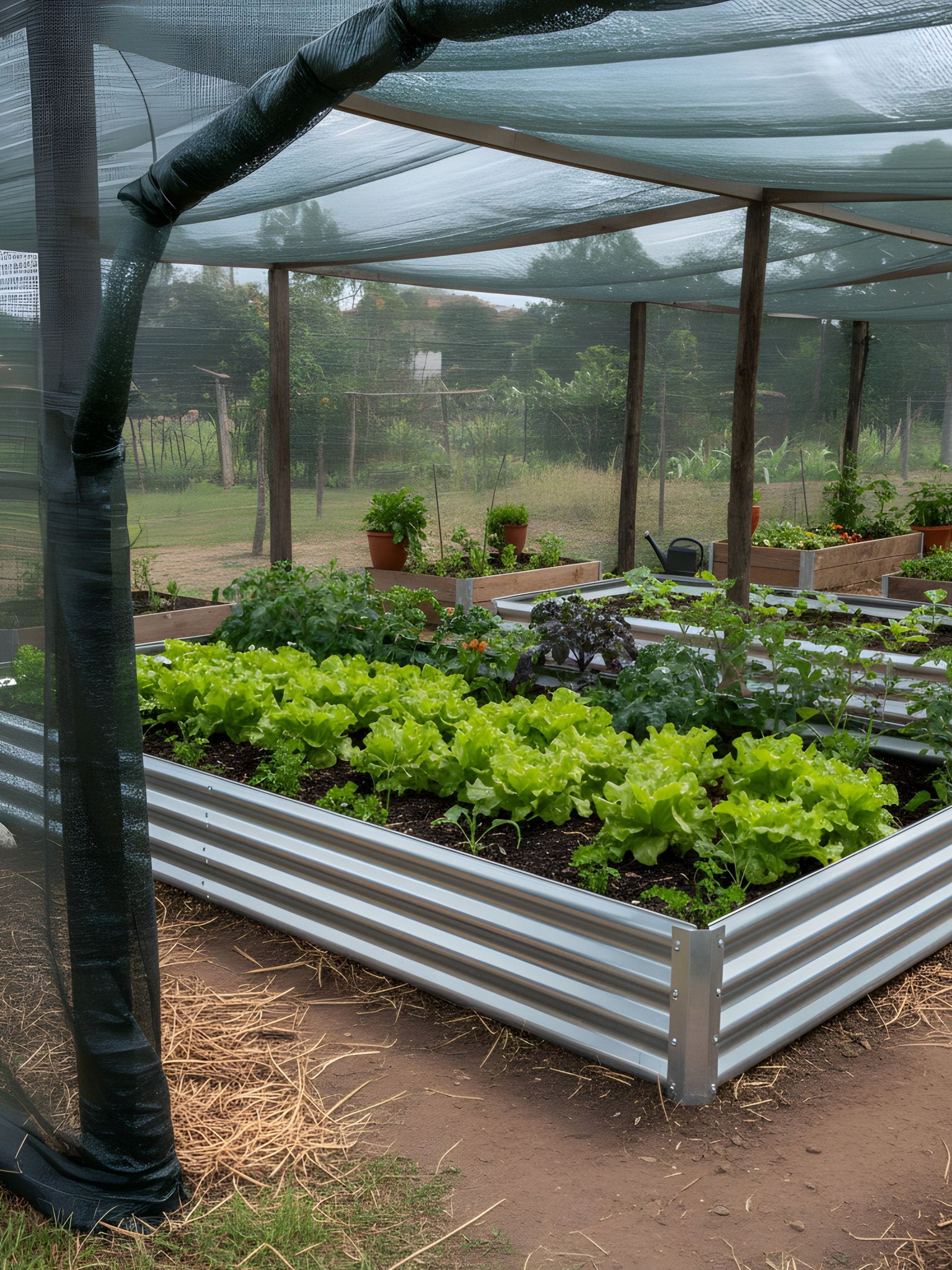 Canteiro Metálico para Jardim Retangular 160x80cm Verde - Montar & Plantar