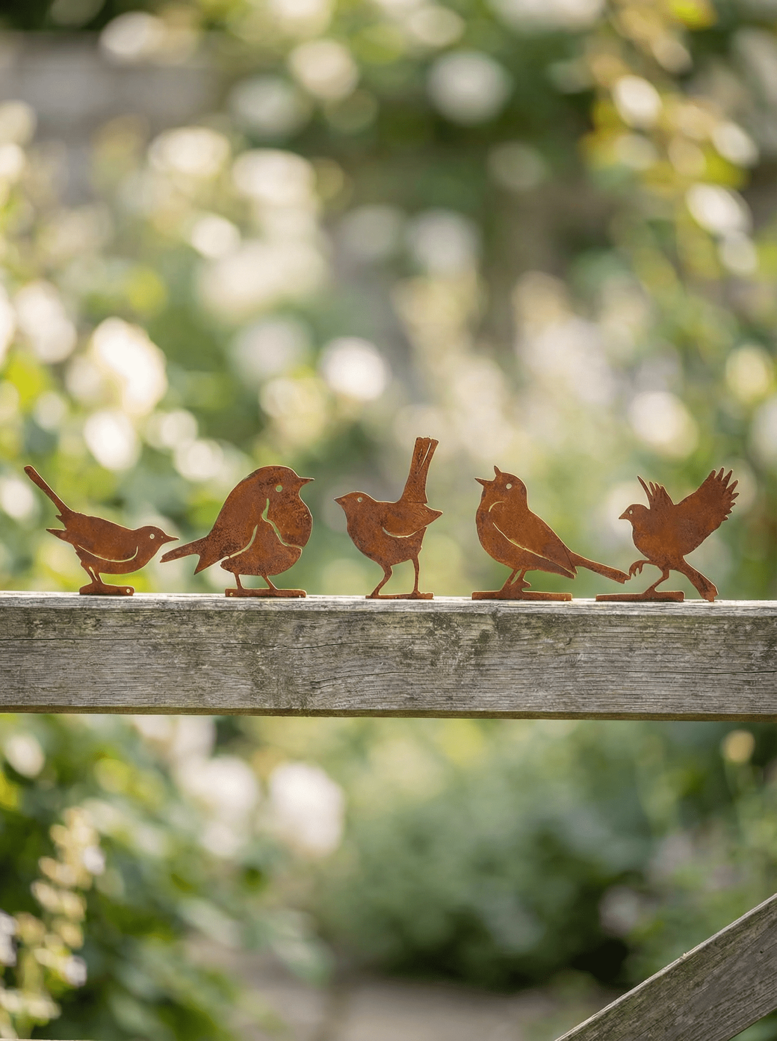 Decoração Pássaros de Metal para Jardim Cor de Ferrugem 5 Pç - Montar & Plantar
