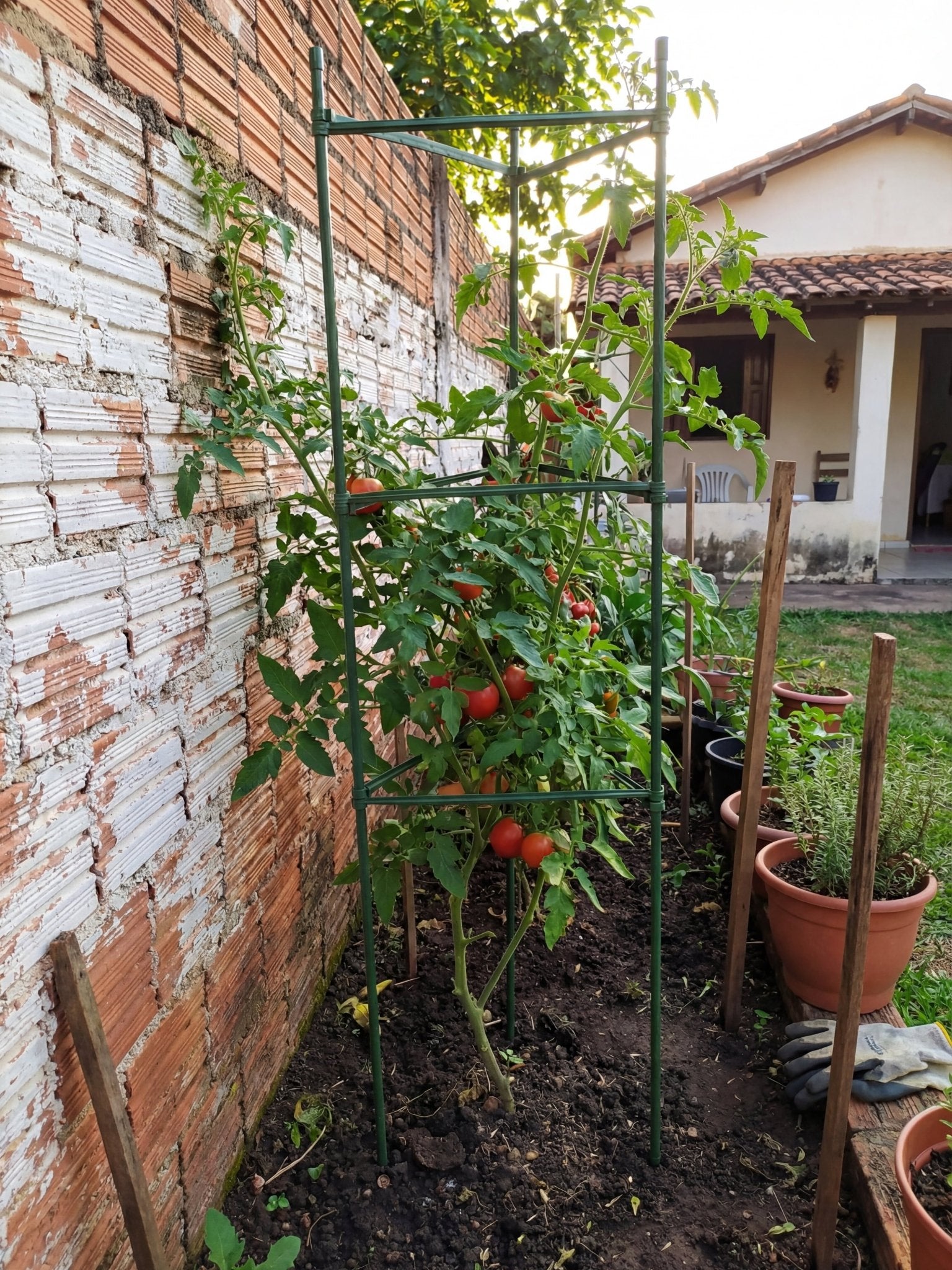 Suporte Armação Plástico para Trepadeiras Horta 120x30cm - Montar & Plantar